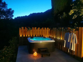 Maison à la campagne avec SPA et piscine